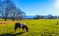 Underberg landscape under blue sky in Southern Drakensberg South Africa