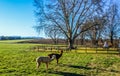 Underberg landscape under blue sky in Southern Drakensberg South Africa