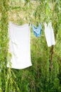 Undergarments drying on clothesline Royalty Free Stock Photo