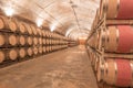 Jean Leon underground barrel cellars Royalty Free Stock Photo