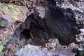 Underground cave in Rangitoto Island New Zealand Royalty Free Stock Photo