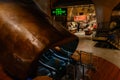 Underground escalators in bronze-colored tube at entrance of bookstore