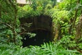 Underground pool Ik-Kil Cenote near Chichen Itza