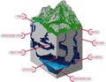 Underground river with waterfall flowing in cave. Karst formation - vector