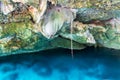 Cenote Dos Ojos Tulum Mexico Underground Cave Geological Rock Formations Royalty Free Stock Photo