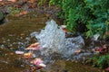 An underground spring that comes to the surface of the ground or a water main breakthrough Royalty Free Stock Photo