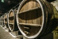 Underground wine cellar with old big wooden barrels or containers in winery Royalty Free Stock Photo