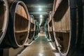 Underground wine cellar with rows of old big wooden barrels in winery, industrial underground corridor in alcohol factory Royalty Free Stock Photo