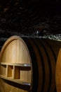 Underground wine cellars with barrels for aging of red dry wine in Chateauneuf-du-Pape wine making village in France with green