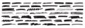 Underline brushstroke set, doodle line scribble, black pencil vector hand drawn divider collection.
