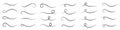 Underline text. Hand drawn collection of curly swishes, swashes, swoops. Calligraphy swirl. Highlight text elements.