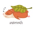 Underneath English Language Preposition of Place and Cute Sleeping Hamster Character, Educational Visual Material for