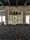 Underneath highway 285 bridge over the Chattahoochee River Royalty Free Stock Photo