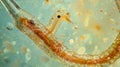 Underneath the microscope a single parasitic worm appears to be crawling through a sample of bodily fluid. .