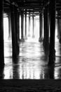 Underneath Santa Monica Pier