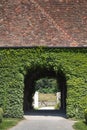 Underpass of an old building covered with ivy Royalty Free Stock Photo