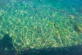 Undersea landscape with coral reef and blue coral fishes. Tropical sea lagoon with sea animals. Underwater view in exotic island Royalty Free Stock Photo