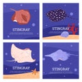 Undersea life, stingrays in water, cards with cartoon vector illustrations