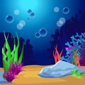 Undersea. Marine Life Landscape - the ocean