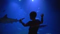 Undersea world in zoo, little boy admiringly looks at ecsotic fishes swim in blue huge aquarium