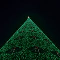 Undershot of a high Christmas tree against dark sky Royalty Free Stock Photo