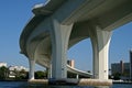 Underside of curved concrete bridge support