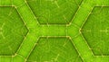 Underside Of Green Leaf Seamless Tile Background