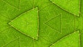 Underside Of Green Leaf Seamless Tile Background