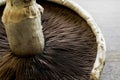 The underside of a Portobello mushroom and its stalk Royalty Free Stock Photo