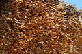 The underside of the thatch sunlit. Royalty Free Stock Photo