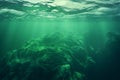 Understanding the Algal Blooms in the World's Oceans. Generative By Ai