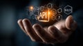 Understanding Application Programming Interfaces and Their Role in Modern Software Development Royalty Free Stock Photo
