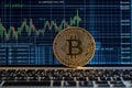 Understanding Cryptocurrency Trends With Bitcoin on the Laptop Screen