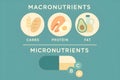 Understanding the difference between macronutrients and micronutrients for better health choices Royalty Free Stock Photo