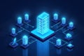 Understanding High-Speed Data Transfers Through Seedbox Hosting