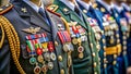 Understanding Military Rank Structure A Visual Guide to Officer Uniforms Insignia and Badges