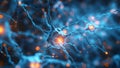 Understanding the Neural Tissue: Neurons Transmitting Electrical Signals Through Synapses and