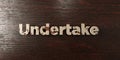 Undertake - grungy wooden headline on Maple - 3D rendered royalty free stock image Royalty Free Stock Photo