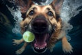 Underwater action portrait of dog diving for toy ball in pool. Generative Ai