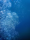 Underwater Air Bubbles Underwater blue Background Royalty Free Stock Photo