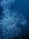 Underwater Air Bubbles Underwater blue Background Royalty Free Stock Photo