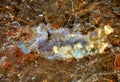 Underwater, amethyst, citrine, quartz Royalty Free Stock Photo
