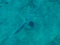 Underwater anchor on the bottom of the sea holding the yacht.