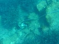 UNDERWATER. Anchor at the bottom of the sea off the coast of the KASTOS island, Lefkada Regional unit, Ionian Islands Royalty Free Stock Photo