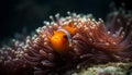 Underwater animal fish reef nature clown fish sea life coral generated by AI