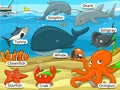 Underwater animals and fish with names cartoon