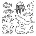 Underwater animals hand drawn set vector illustration. Aquatic fauna collection in doodle style. Marine life Isolated on