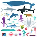 Sea Life and Underwater Animals and Fishes Royalty Free Stock Photo