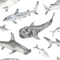 Underwater animals, shark, hammerhead shark, whale shark, marlin, fish watercolor seamless pattern