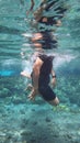 underwater appearance of a very clear river Royalty Free Stock Photo